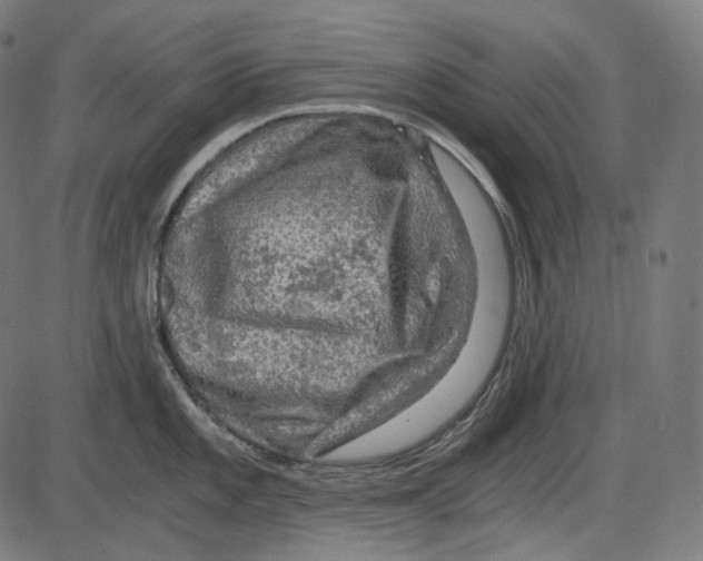 X0000084031101200703161759