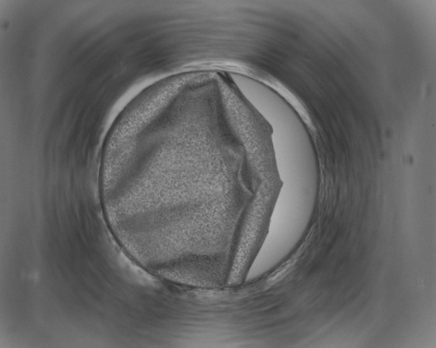 X0000084031102200703161759