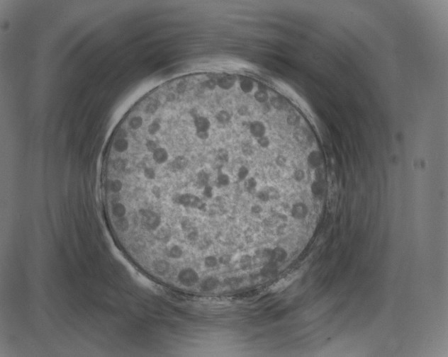 X0000084031103200703161759