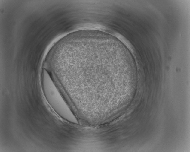 X0000084031104200703161759