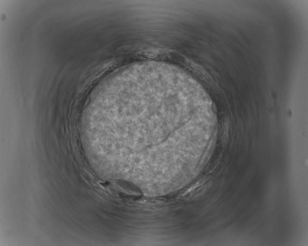 X0000084031105200703161758