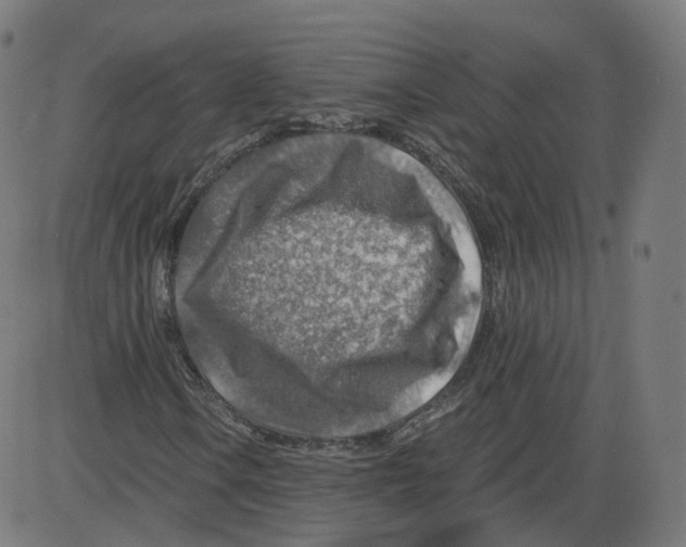 X0000084031106200703161758