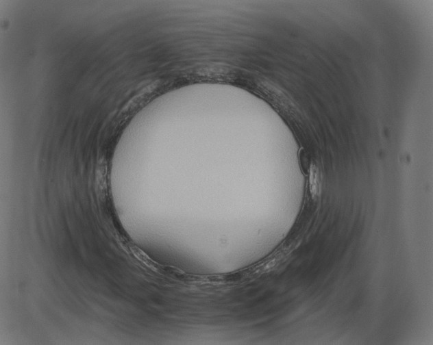 X0000084031107200703161758