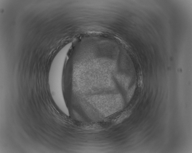 X0000084031108200703161758