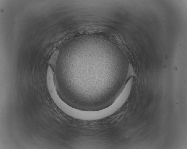 X0000084031109200703161758