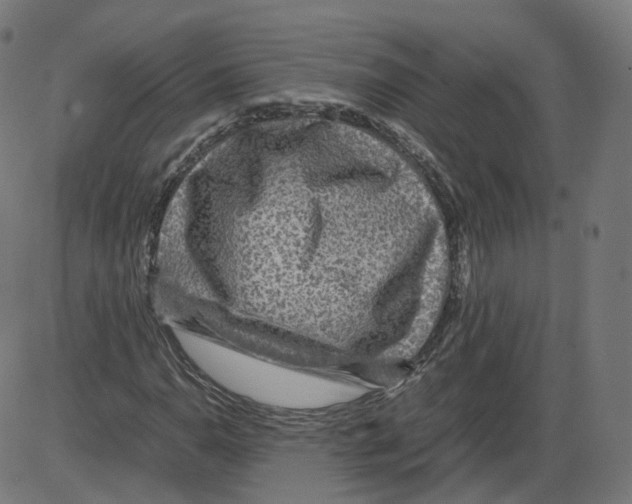 X0000084031110200703161758