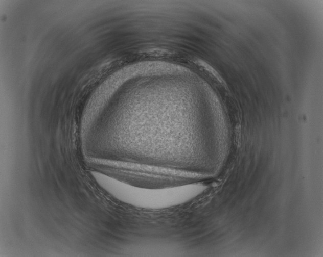 X0000084031111200703161758