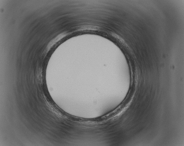 X0000084031113200703161758