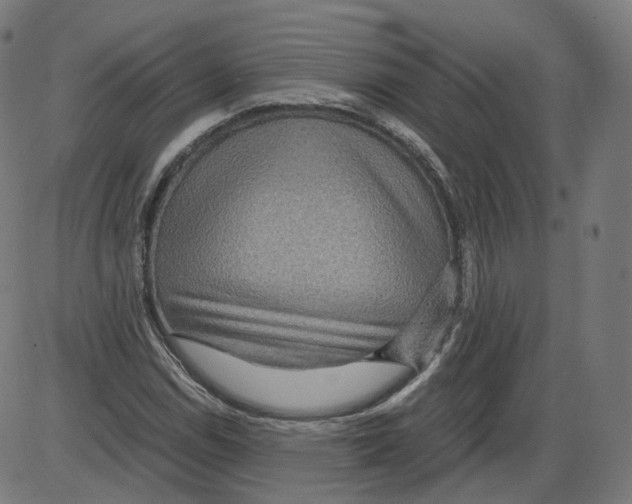 X0000084031114200703161758