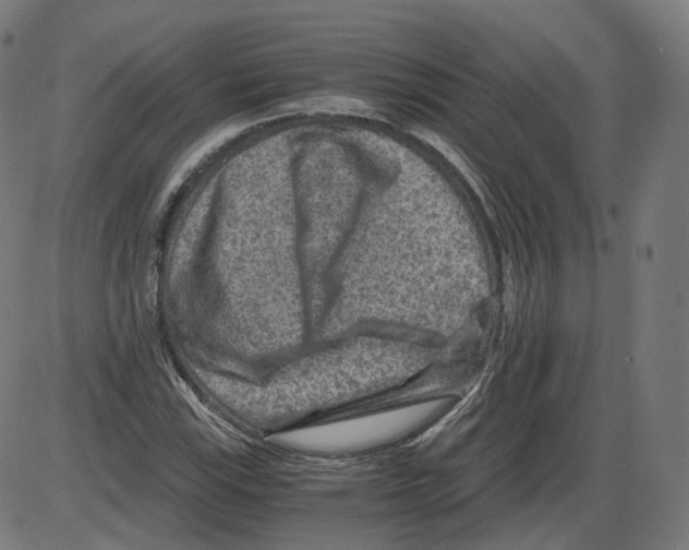 X0000084031115200703161758