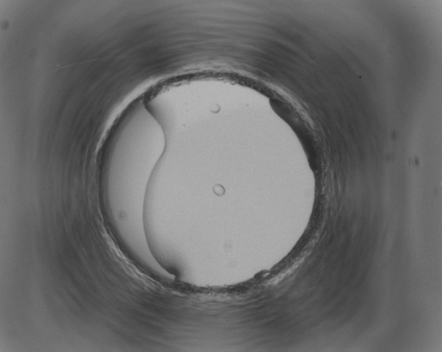 X0000084031118200703161758