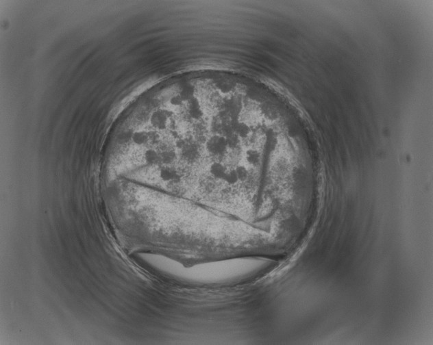 X0000084031121200703161758