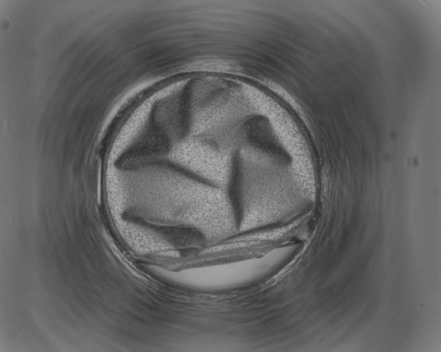 X0000084031123200703161758