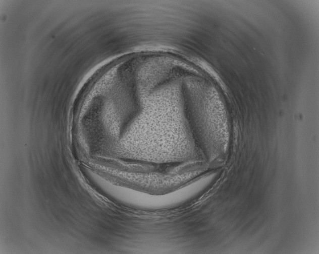 X0000084031124200703161758