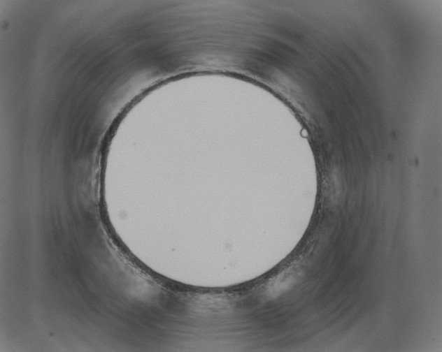 X0000084031126200703161758