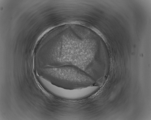 X0000084031127200703161759