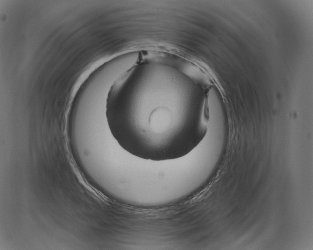 X0000084031128200703161759