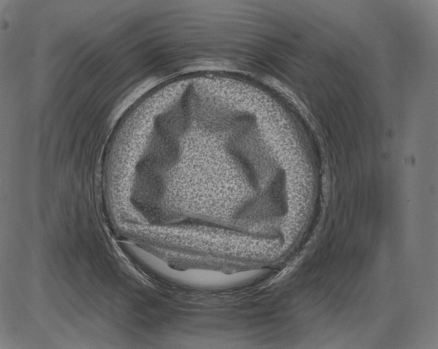 X0000084031129200703161759