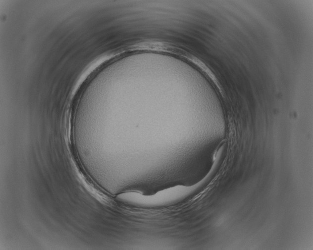 X0000084031131200703161759