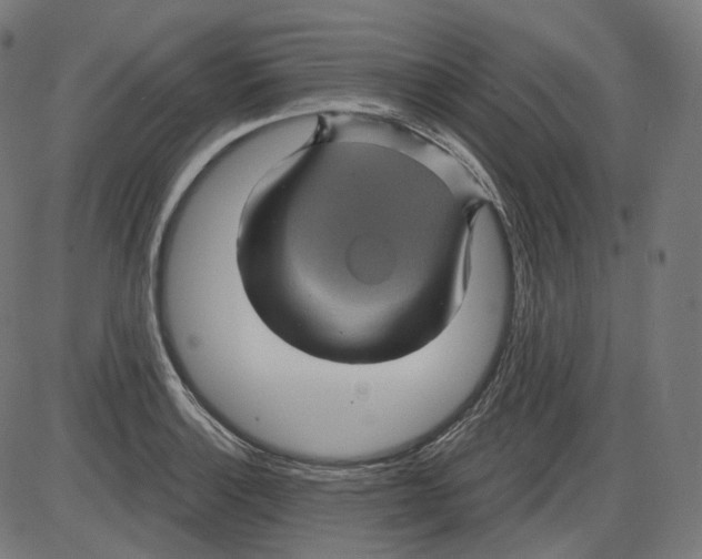 X0000084031132200703161759