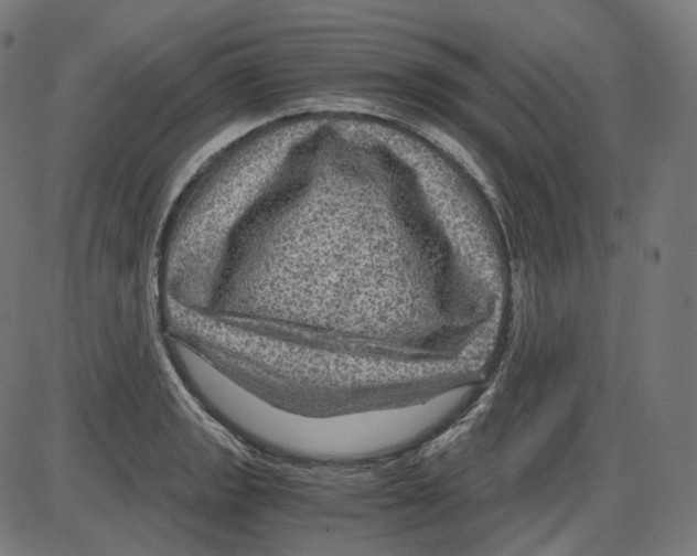 X0000084031133200703161759