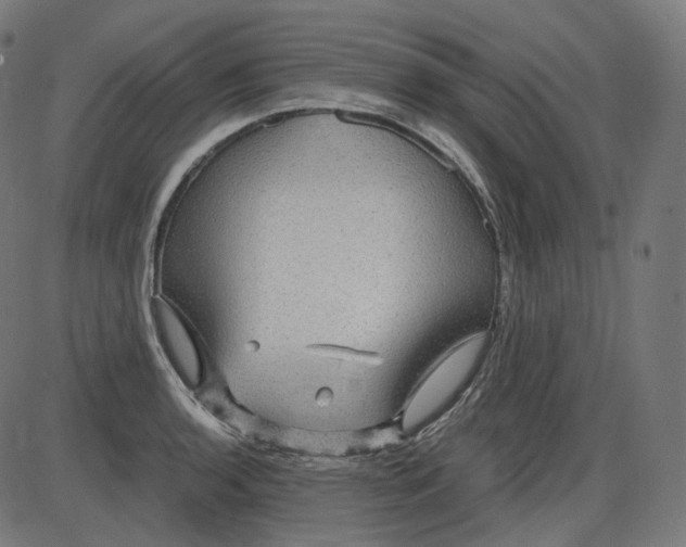 X0000084031136200703161759