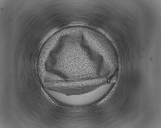 X0000084031137200703161759