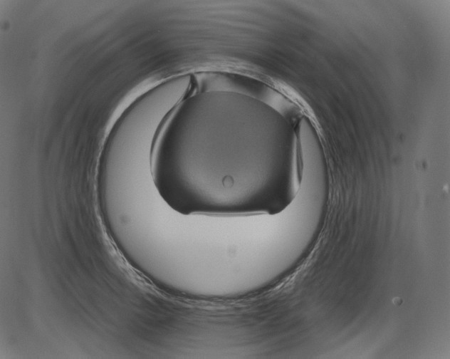 X0000084031138200703161759