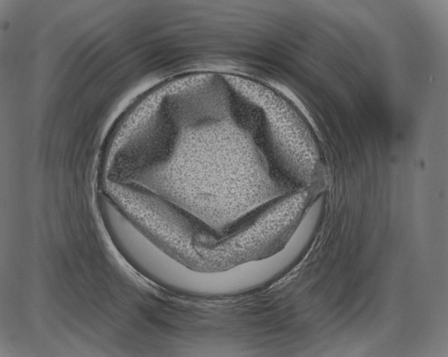 X0000084031139200703161759