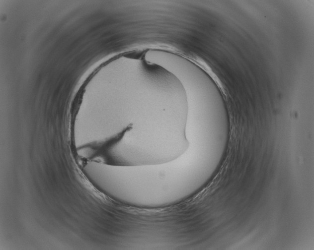 X0000084031140200703161759