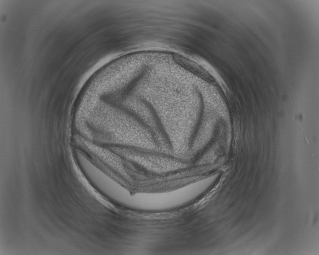 X0000084031142200703161759