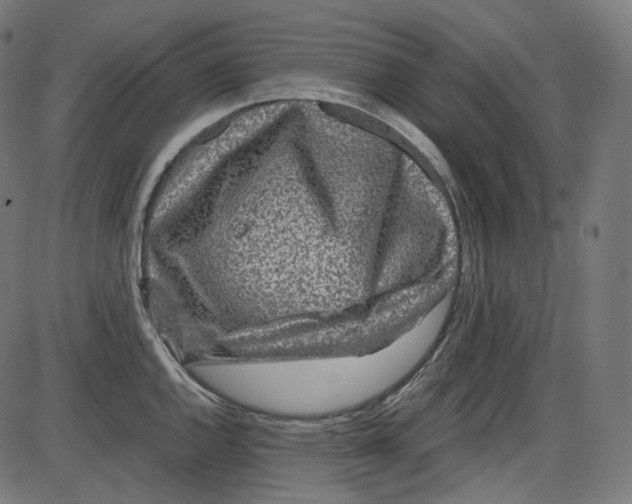 X0000084031144200703161759