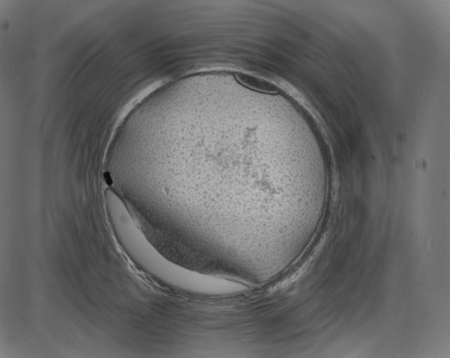 X0000084031145200703161759