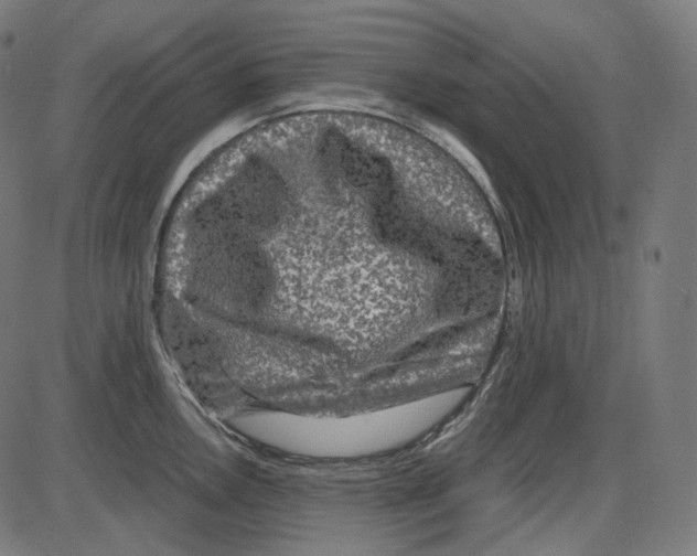 X0000084031146200703161759