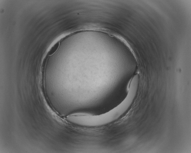 X0000084031147200703161759