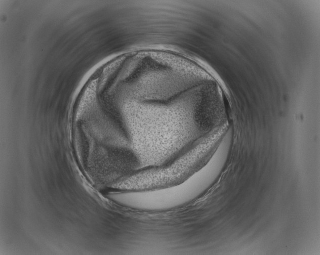 X0000084031148200703161759