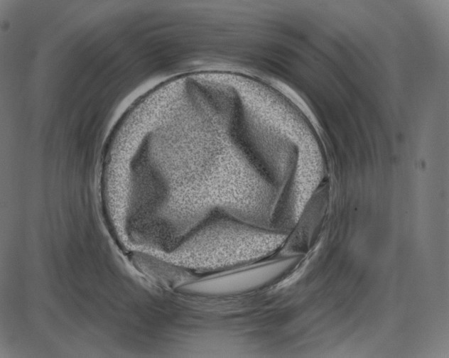 X0000084031149200703161759