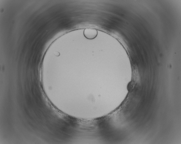 X0000084031150200703161759