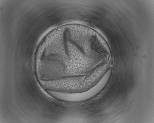 X0000084031151200703161759