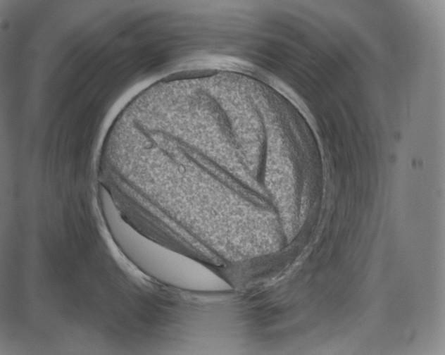 X0000084031152200703161759