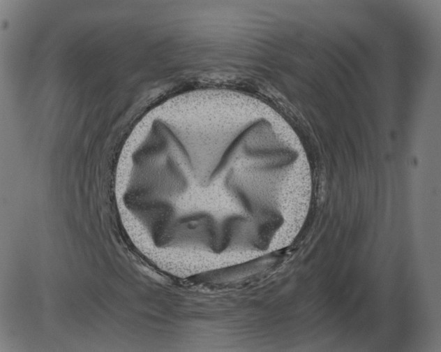 X0000084031153200703161758