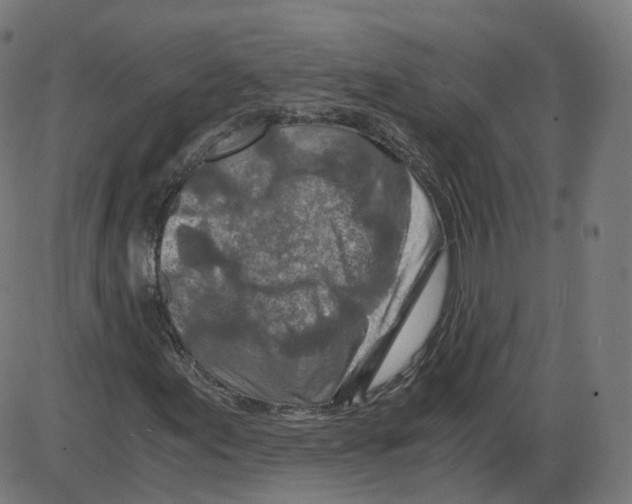 X0000084031155200703161758