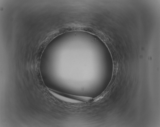 X0000084031157200703161758