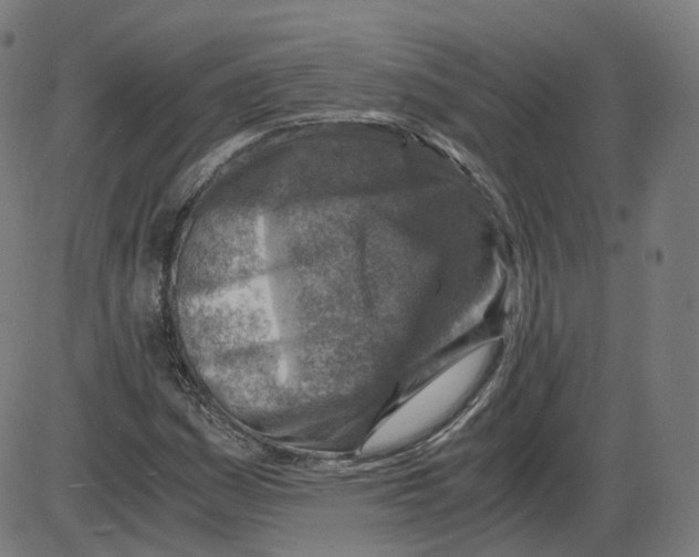 X0000084031161200703161758