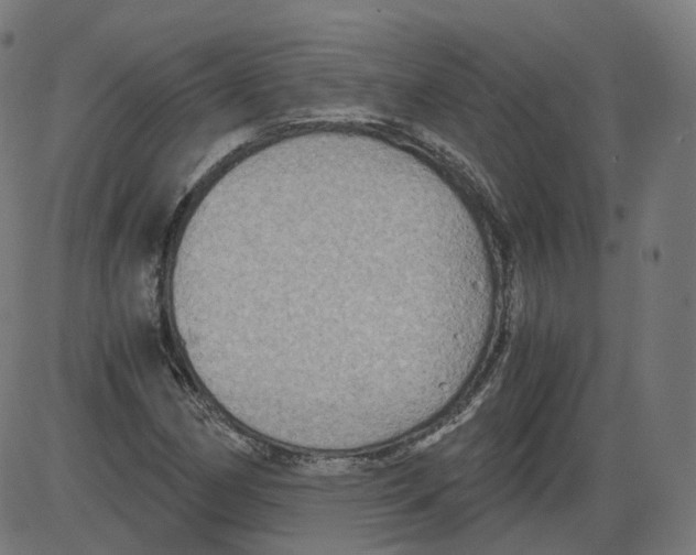 X0000084031162200703161758