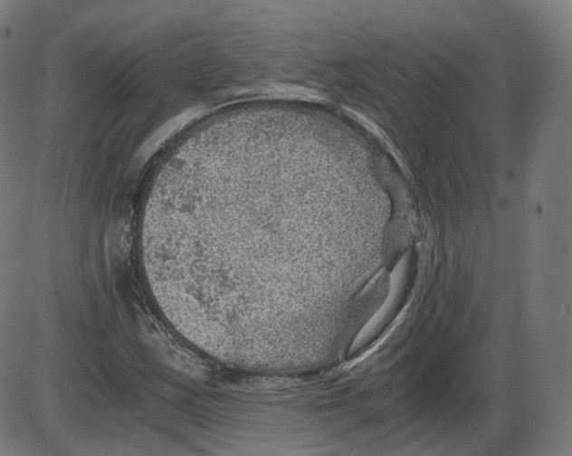 X0000084031163200703161758