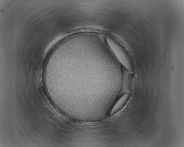 X0000084031164200703161758