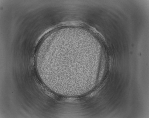 X0000084031166200703161758