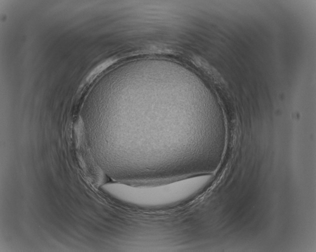 X0000084031169200703161758