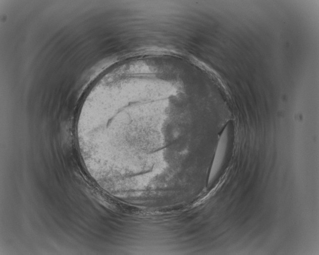 X0000084031170200703161758